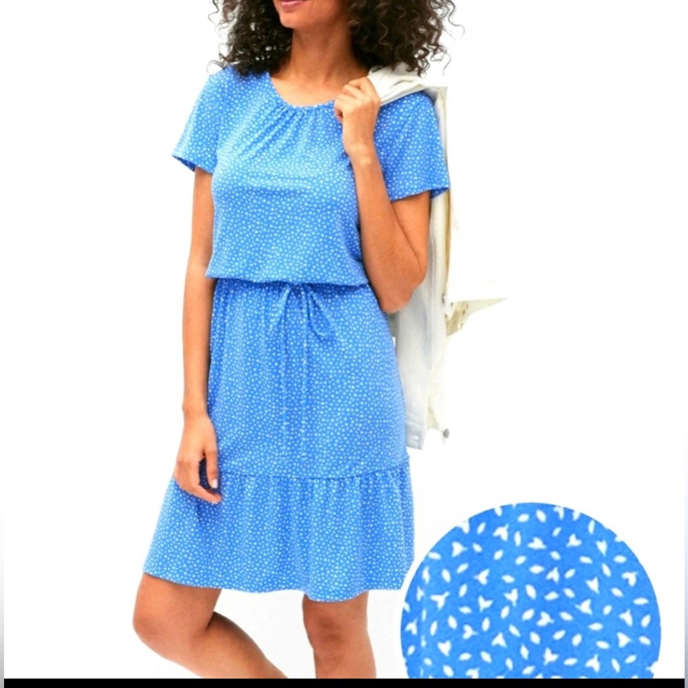 Banana republic Flounce-Hem Fit-and-Flare Dress Sz M Blue White Ditsy Floral